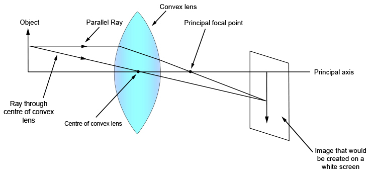 Ray diagram drawn from the middle point of the object